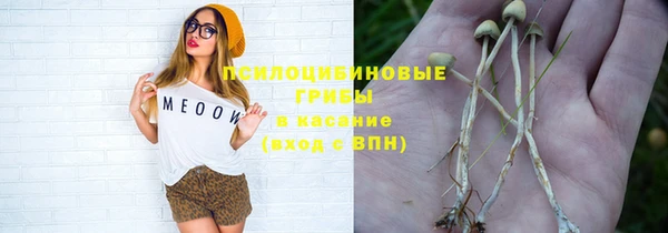 соль курить ск Новозыбков