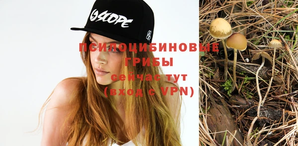 первитин Новодвинск