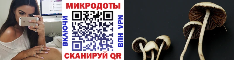 Галлюциногенные грибы MAGIC MUSHROOMS  Черемхово 